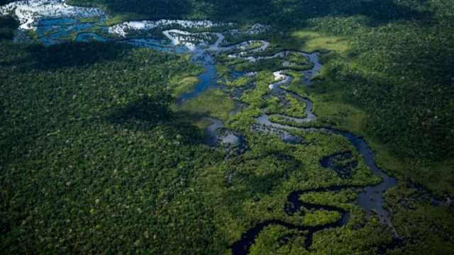 5 حقائق مذهلة عن نهر الأمازون.. «غير مساره وأكبر من نهر النيل »