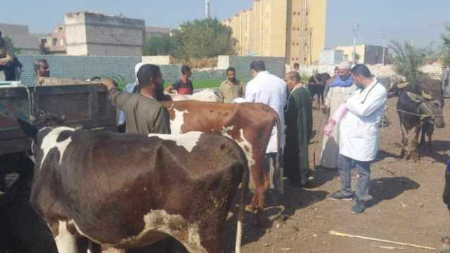 «مستقبل وطن» ينظم قافلة بيطرية مجانية في أبو قرقاص بالمنيا