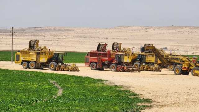 مركز الحبتور للأبحاث: مصر تتجه نحو توسيع رقعة الأراضي الزراعية