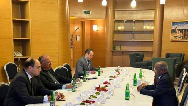 وزير الخارجية سامح شكري يعقد جلسة مباحثات مع وزير خارجية إريتريا