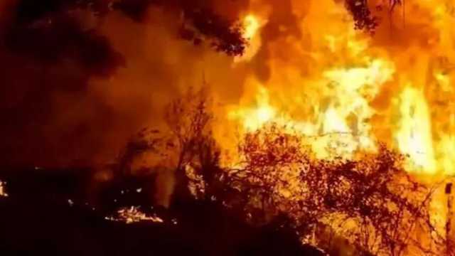 الدفاع المدني الجزائري: إطفاء 18 حريقا من أصل 20 في غابات ولاية بجاية