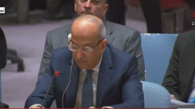 مندوب مصر بالأمم المتحدة: ندعو مجلس الأمن لوقف إطلاق النار الإنساني في غزة 