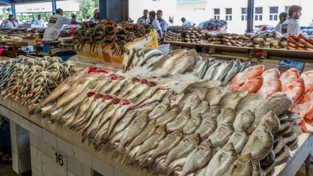 استقرار أسعار السمك اليوم الأربعاء 3-1-2023 في الأسواق