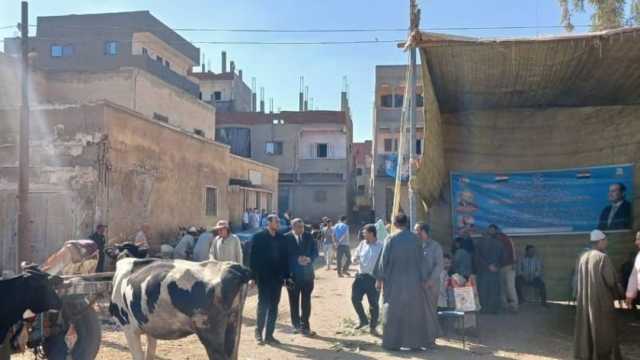 فحص 1760 طائرا ورأس ماشية في قافلة بيطرية بكفر الشيخ