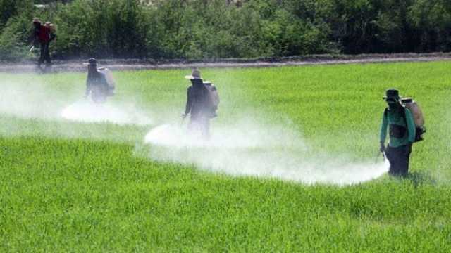 «الزراعة» تحظر التداول على 4 أنواع مركبات لمبيدات.. خطيرة للغاية