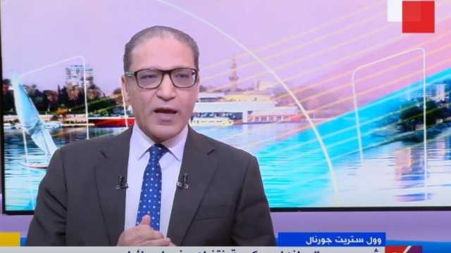 كاتب صحفي: تطابق وجهتي النظر المصرية والألمانية في كثير من القضايا