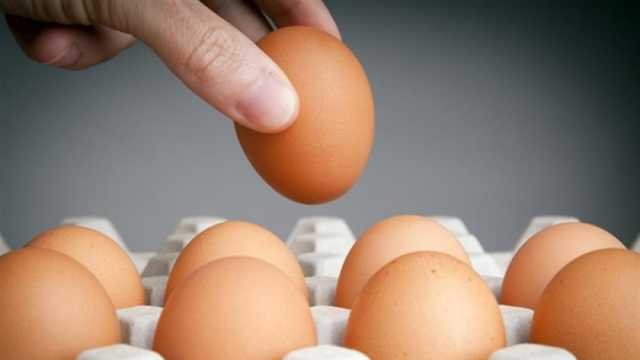 انخفاض أسعار البيض اليوم الجمعة 15-12-2023
