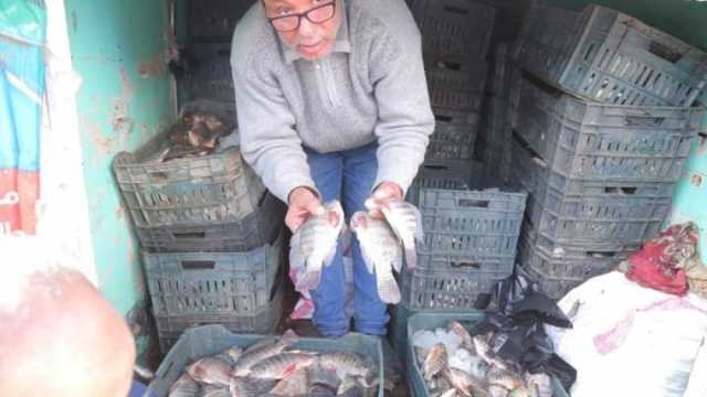 محافظ كفر الشيخ: توفير أسماك طازجة للمواطنين بتخفيضات 30%