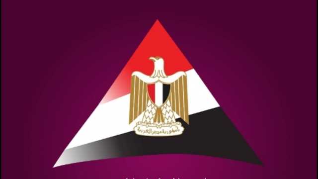 «مركز المعلومات» يستعرض إنجازات مصر في التحول الرقمي
