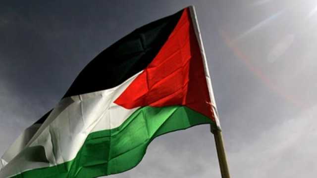 نجوم أعلنوا مشاركتهم في وقفة النصب التذكاري بمدينة نصر: نحتاج لتوصل صوت فلسطين للعالم