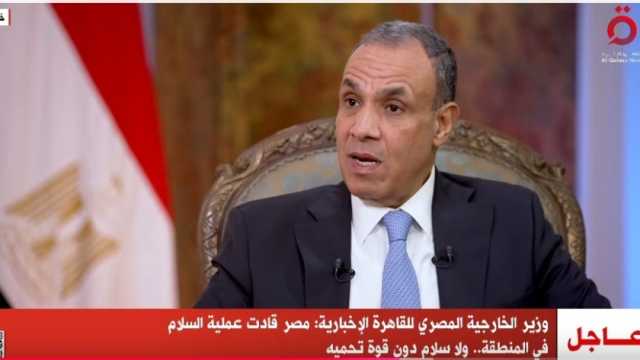 وزير الخارجية: مصر لديها الحق الكامل في الدفاع عن مصالحها المائية