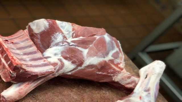استقرار أسعار اللحوم في محلات الجزارة اليوم الاثنين 9-10-2023