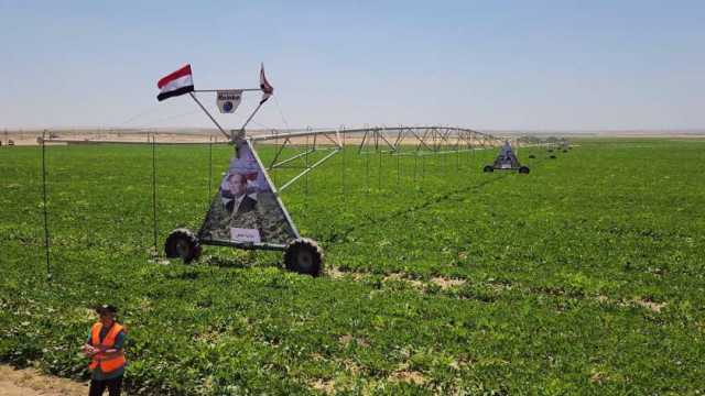 خبير: مشروع مستقبل مصر يضيف 4 ملايين فدان للرقعة الزراعية