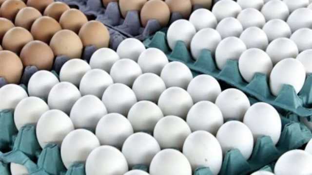 انخفاض أسعار البيض في الأسواق ومحلات الجملة.. شوف الكرتونة بكام