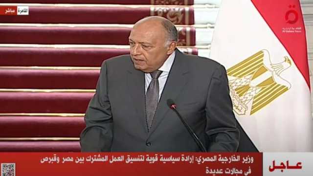 وزير الخارجية: مصر ترفض التواجد الإسرائيلي في الجانب الفلسطيني من معبر رفح