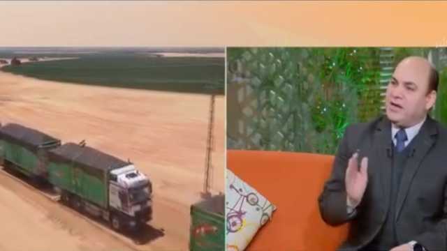 «الزراعة»: مصر نجحت في استنباط أصناف من المحاصيل (فيديو)