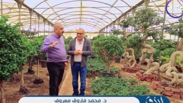 خبير بيئة زراعية يكشف أسرار وحكايات الزهور بـ«باب رزق»