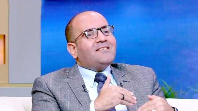 مدير «الدراسات الاقتصادية»: التمثيل المصري يعزز التبادل التجاري ويجذب الاستثمار الأجنبي ويرفع معدلات النمو