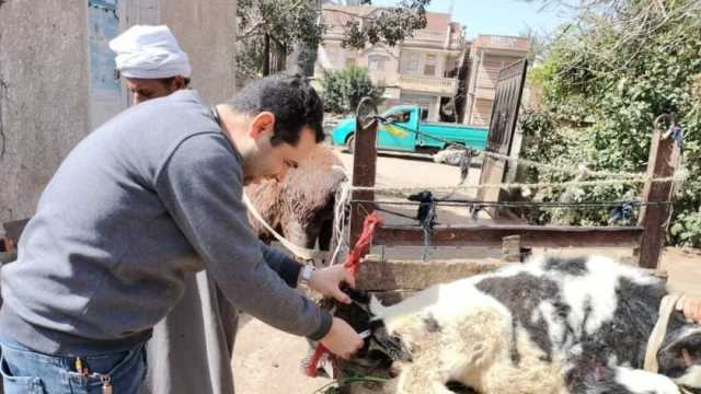 كشف بيطري لـ564 حالة من الماشية والطيور في قافلة بكفر الشيخ
