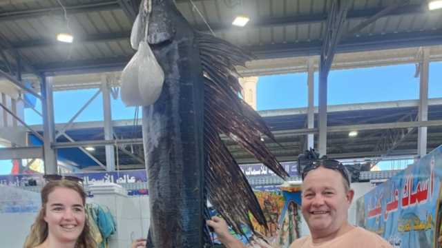 عرض أسرع سمكة في سوق الغردقة يلفت انتباه السياح