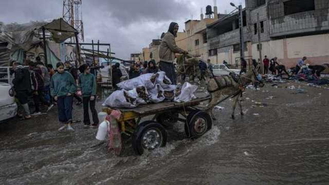 رئيس الهيئة الدولية لدعم فلسطين: شمال غزة يتعرض لعملية تطهير عرقية