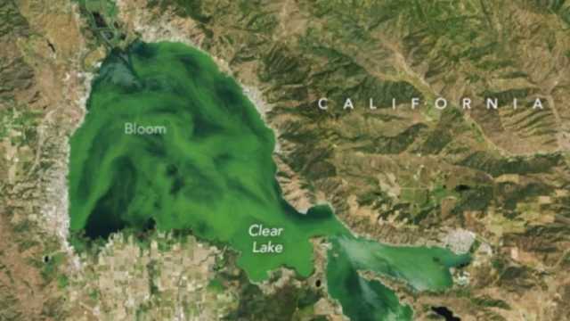 عمرها 500 ألف عام.. لماذا تحول لون أكبر بحيرة في كاليفورنيا إلى الأخضر؟