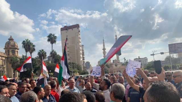 المئات يدعمون قرارات الرئيس في المنصورة: مصر وفلسطين إيد واحدة