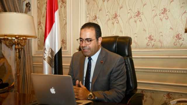 «المصريين بالخارج»: تنسيق متواصل مع الحملة الرسمية للمرشح عبدالفتاح السيسي