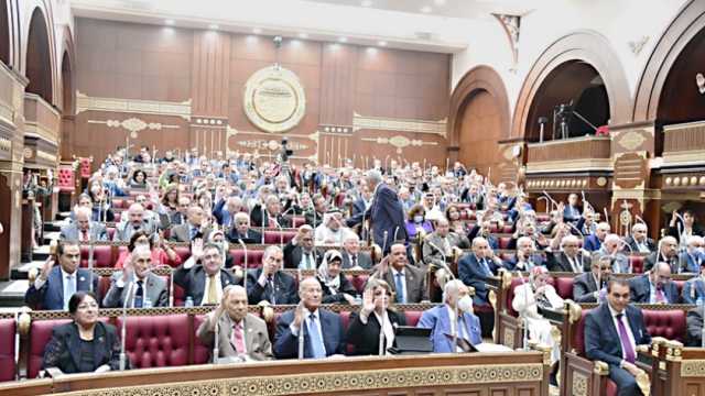 نائب بـ«الشيوخ» يتقدم باقتراح لزيادة قطاعات التكنولوجيا في الوكالة المصرية