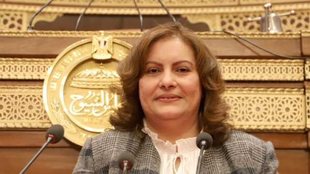 برلمانية: أكاذيب إسرائيل في «العدل الدولية» هدفها تشويه جهود مصر
