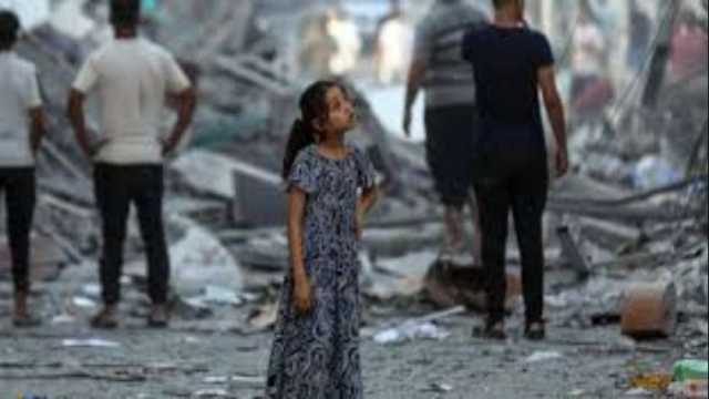 مصدر مصري رفيع المستوى: الأوضاع في غزة حرجة.. وعلى المجتمع الدولي تحمل مسؤولياته