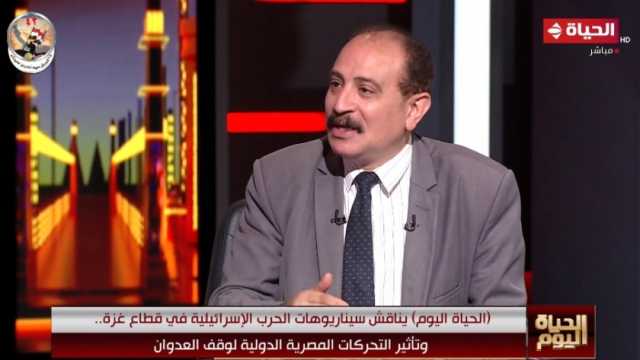 خبير سياسي: الجهد المصري مستمر للوصول إلى هدنة إنسانية في غزة