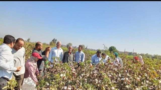 خبير زراعي: مصر لديها منتج يستطيع المنافسة في الأسواق الخارجية