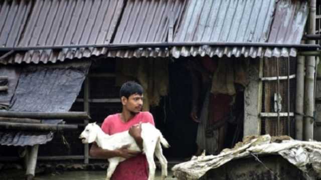 لقطات من فيضانات الهند.. حالات وفاة داخل الأنفاق ونقل جماعي للحيوانات