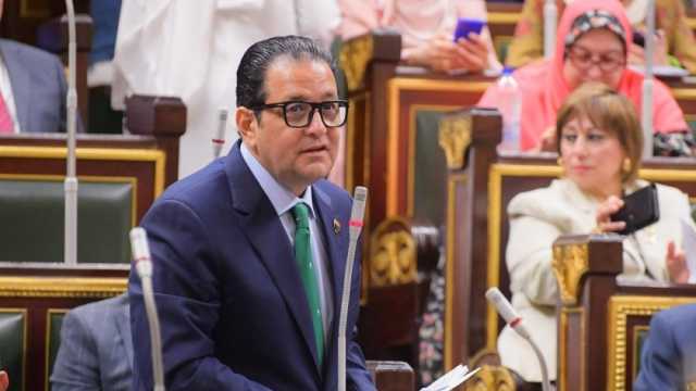 النائب علاء عابد: انضمام مصر لـ«بريكس» نجاح جديد للدولة بقيادة الرئيس