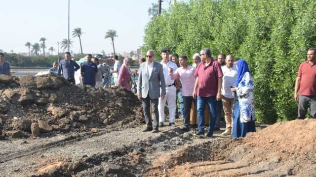 تخصيص أرقام لتلقي شكاوى الـ«التعديات والبناء المخالف» في القليوبية