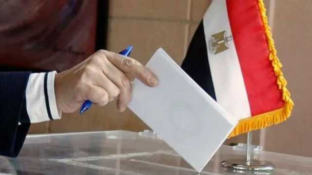 الجالية المصرية في ألمانيا: نشجع بعضنا على المشاركة بالانتخابات الرئاسية