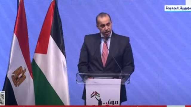 المستشار محمود فوزي: نشكر القبائل على موقفها في مواجهة الإرهاب ودعم فلسطين