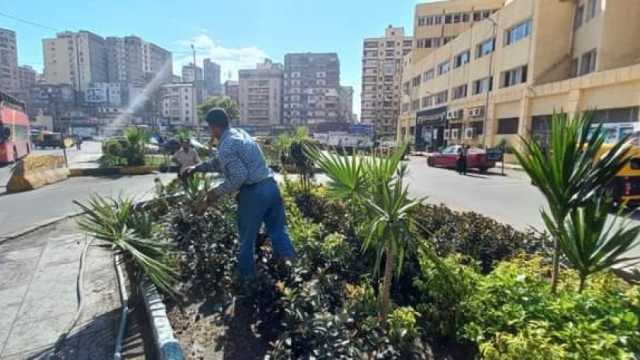 حي المنتزه: إزالة 75 حالة إشغال طريق.. وتجميل الحدائق وتنسيق الأشجار