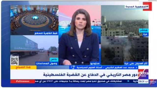 خبير سياسي: موقف مصر تجاه القضية الفلسطينية ثابت ولن يتغير