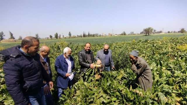 «الزراعة» تنظم حملات للتعريف بمخاطر استخدام المبيدات الكيميائية