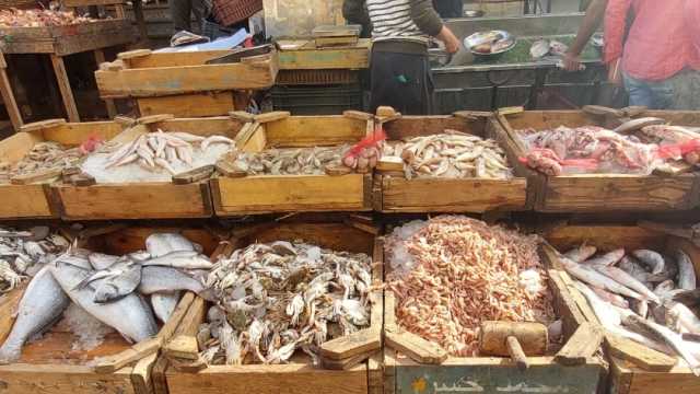 أسعار الأسماك اليوم الأربعاء 14 -2- 2024 في سوق العبور
