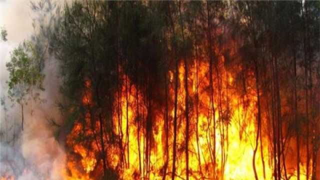 إسبانيا تجلي الآلاف من جزيرة تنريفي بسبب حرائق الغابات
