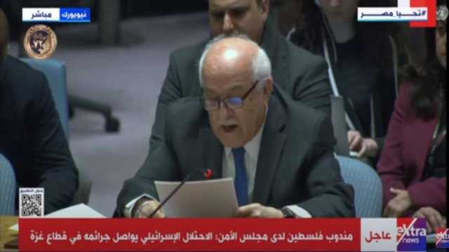مندوب فلسطين لدى مجلس الأمن: إسرائيل تشن حربا من الفظائع ضد شعبنا في غزة