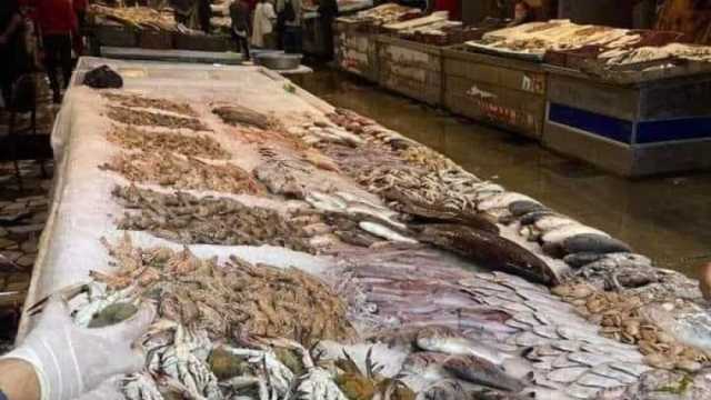 استمرار مقاطعة الأسماك في بورسعيد لليوم الرابع رغم انخفاض الأسعار