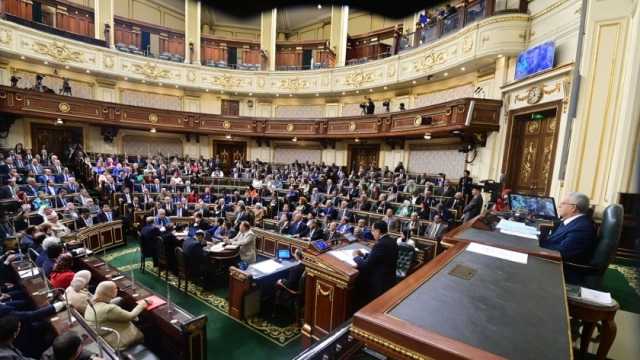 «برلماني»: مصر قادرة على حماية أمنها القومي ومخطط التهجير مرفوض