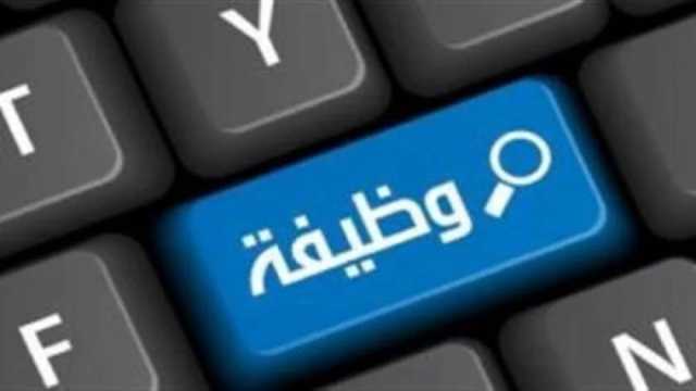 وظائف شاغرة في عدد من المحافظات برواتب مجزية وحوافز.. تفاصيل