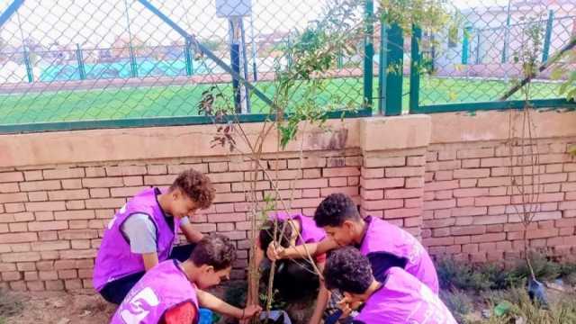 زراعة الأشجار والدهانات ضمن البرنامج البيئي بمراكز شباب بيلا في كفر الشيخ