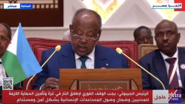 رئيس جيبوتي: يجب اتخاذ موقف عربي حازم ضد حرب الإبادة الجماعية في غزة