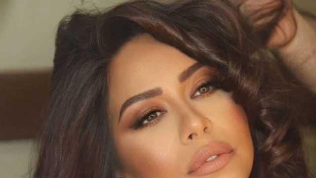 أول رد من محامي شيرين عبد الوهاب بعد الحكم بتغريمها وإدانتها